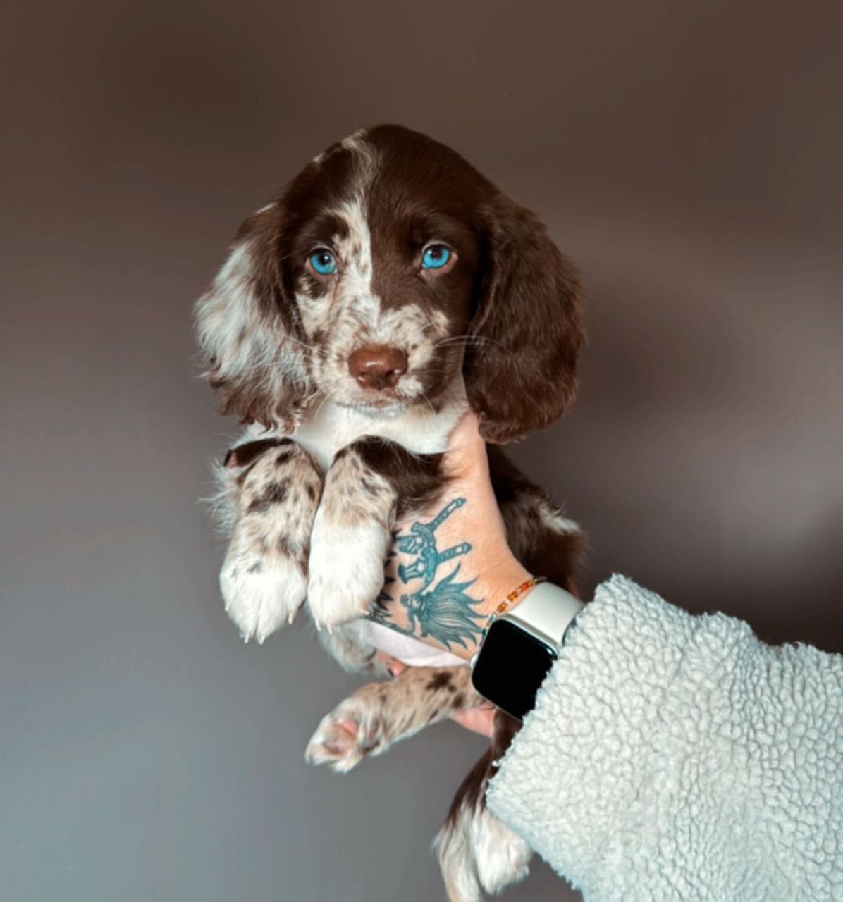 WhatsApp Image 2026-03-10 at 4.30.39 PM