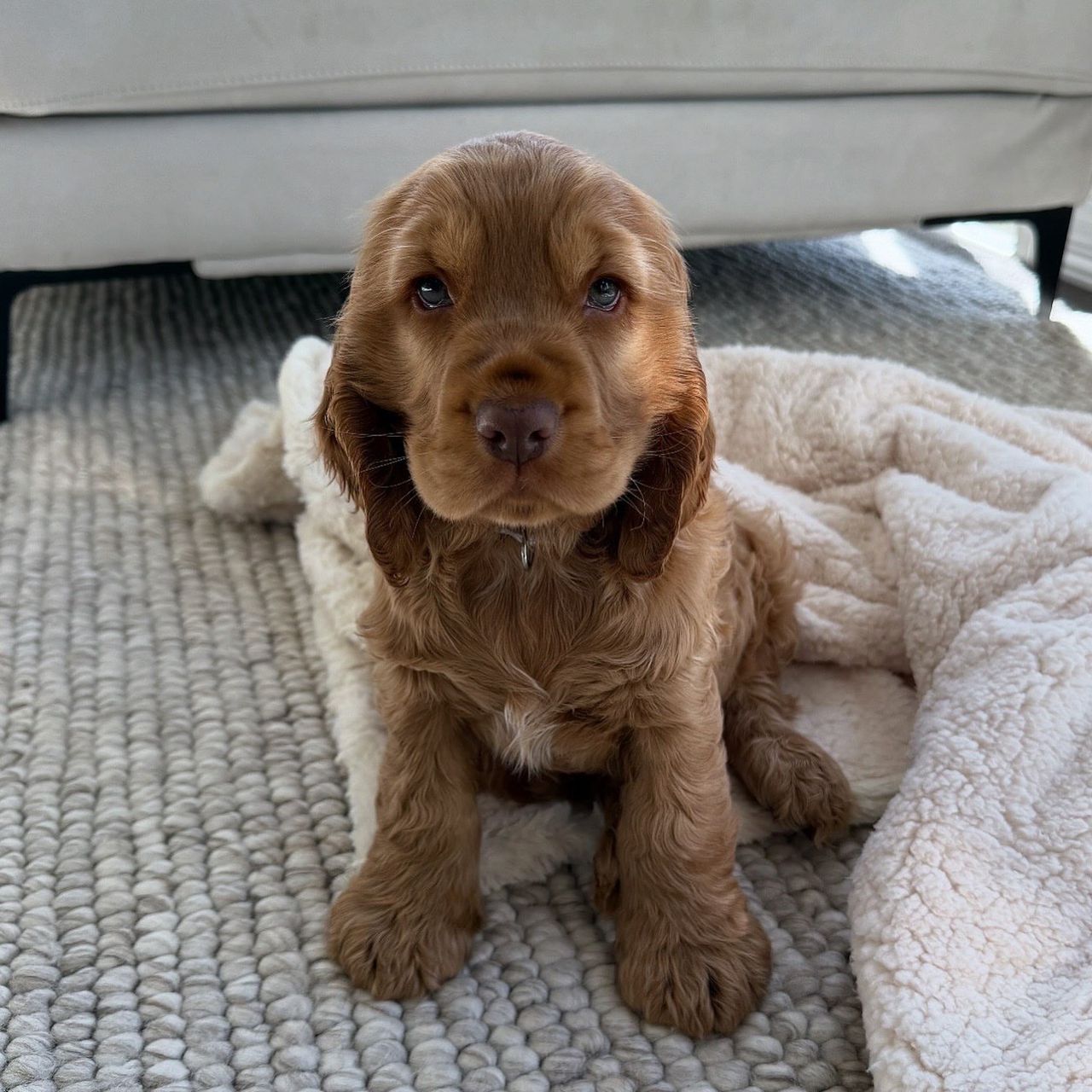 WhatsApp Image 2026-03-10 at 4.30.43 PM (1)