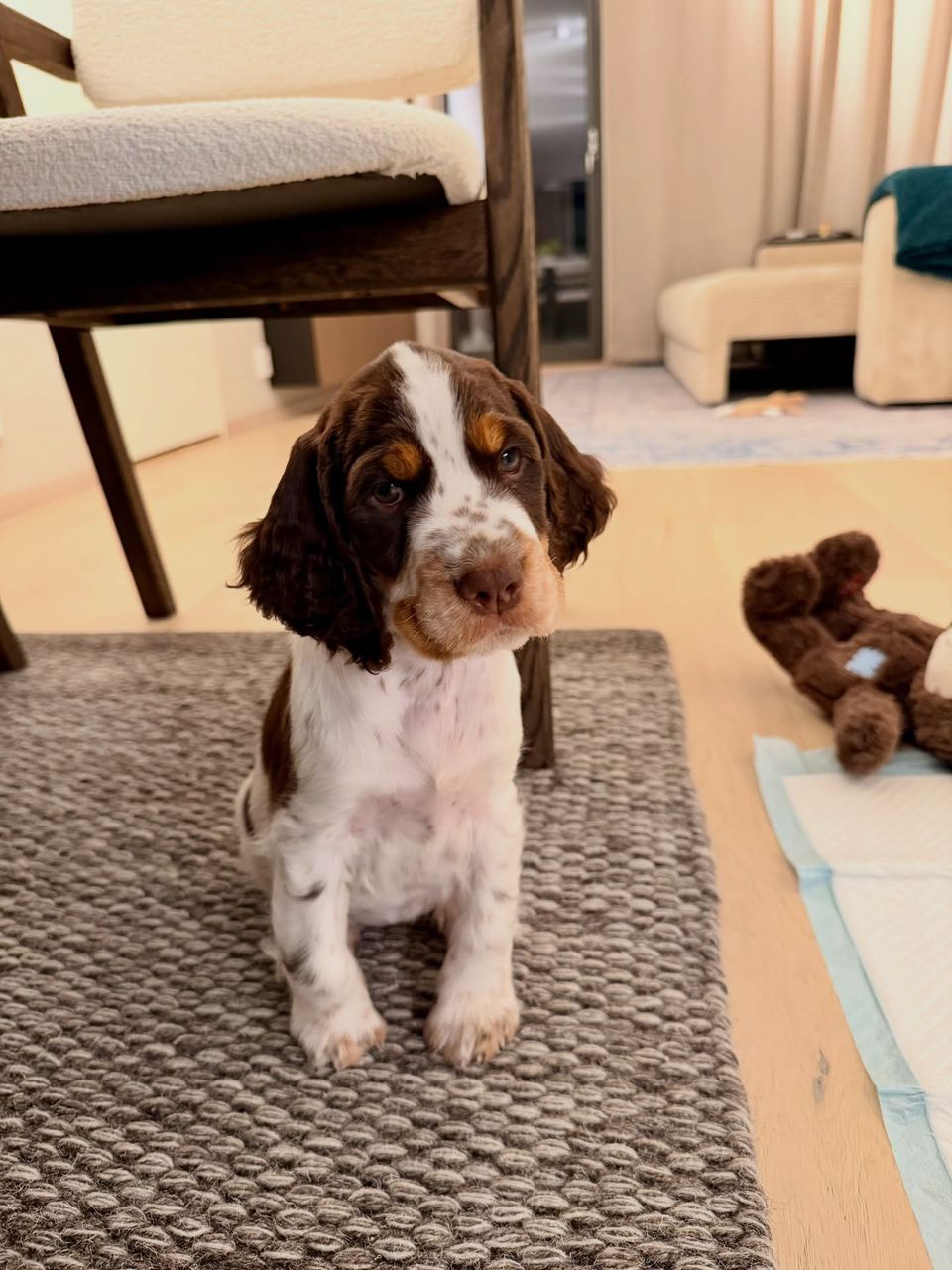 WhatsApp Image 2026-03-10 at 4.30.44 PM