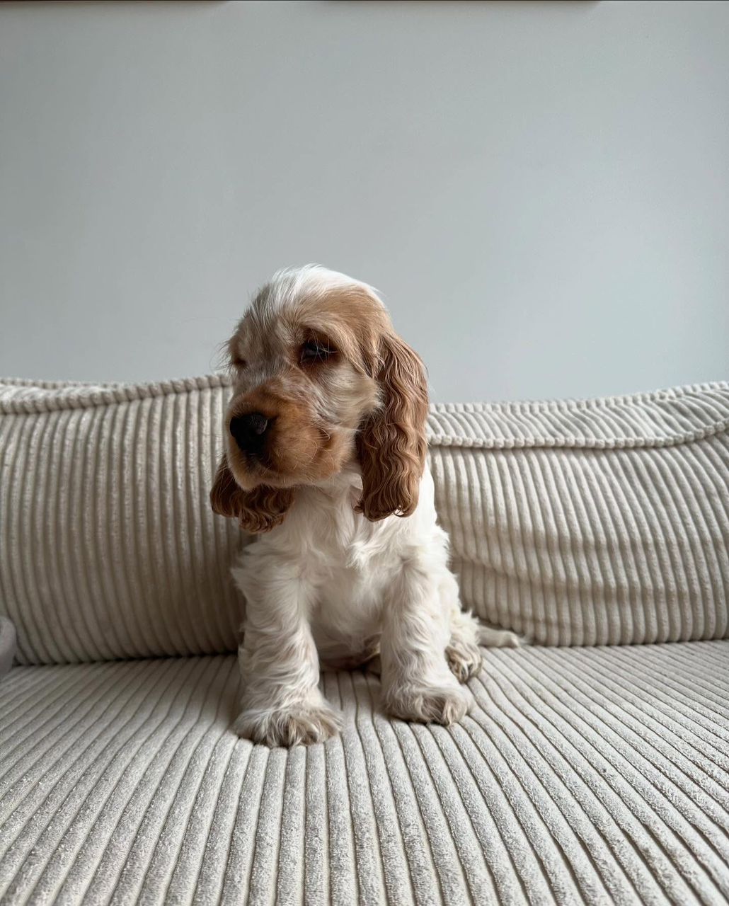 WhatsApp Image 2026-03-10 at 4.30.45 PM