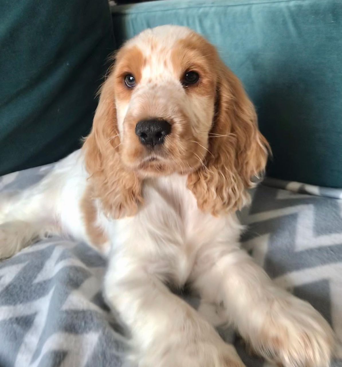 WhatsApp Image 2026-03-10 at 4.30.46 PM (1)