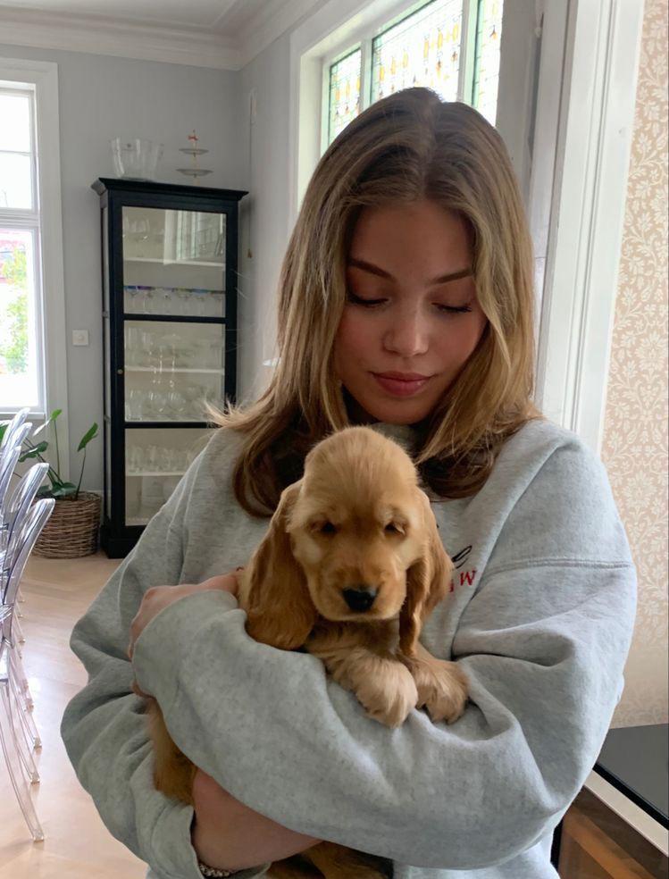 Happy Cocker Spaniel review 6